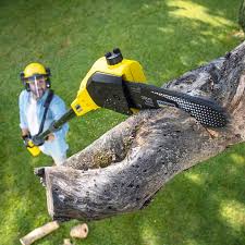 Best Commercial Tree Services  in Good Hope, CA